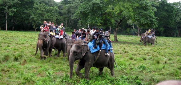 Chitwan National Park