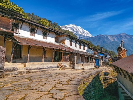 Traditional Gurung Village Homestay